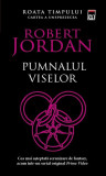 Pumnalul viselor (Vol. 11) - Paperback brosat - Robert Jordan - RAO