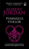 Pumnalul viselor (Vol. 11) - Paperback brosat - Robert Jordan - RAO, 2022