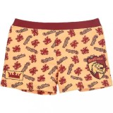 Cumpara ieftin Boxer de Inot Harry Potter pentru Baieti, Costum de Baie Gryffindor, 6 Ani Galben 116 CM, Oem