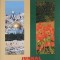 JURNAL PE DOUA MERIDIANE-ERNEST HUSANU-255720