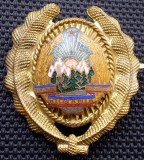 M.113 ROMANIA RSR ARMATA CUC CASCHETA INSIGNA MILITARA SUBOFITER MAISTRU MILITAR