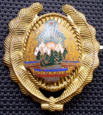 M.113 ROMANIA RSR ARMATA CUC CASCHETA INSIGNA MILITARA SUBOFITER MAISTRU MILITAR