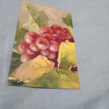 Cumpara ieftin CARTE POSTAL FELICITARE 1915 CIRCULATA