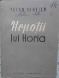 NEPOTII LUI HORIA-PETRU VINTILA-231517