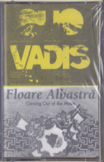 Caseta audio: Quo Vadis / Floare Albastra ? Coming Out of the Maze ( SIGILATA ) foto