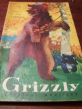 GRIZZLY STAPINUL MUNTILOR