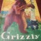 GRIZZLY STAPINUL MUNTILOR