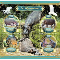 MADAGASCAR 2022 - Fauna, Hipopotami/ set complet colita + bloc