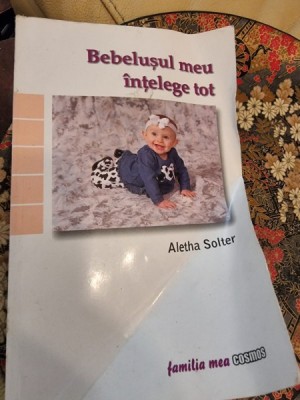 Aletha Solter - Bebelusul meu intelege tot foto