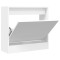 icon 10