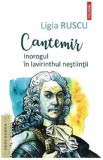 Cantemir. Inorogul in lavirinthul nestiintii - Ligia Ruscu