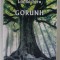 GORUNII , rtoman de ION BUCHERU , 2017,