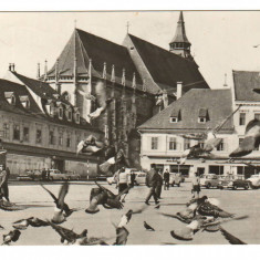 CPIB 20423 CARTE POSTALA - BRASOV. PIATA "23 AUGUST"