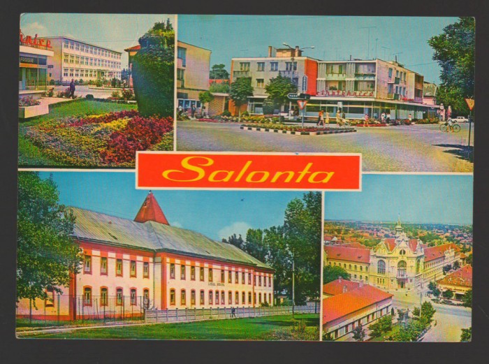 CPIB 19320 CARTE POSTALA - SALONTA, MOZAIC