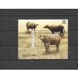 INDONESIA 2019 FAUNA ANIMALE DOMESTICE BIVOLI