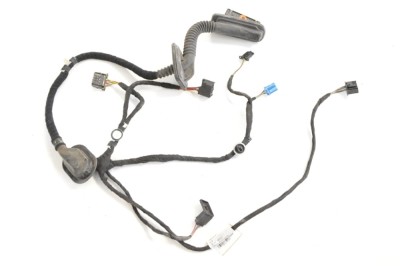 Cablaj ușă st&amp;acirc;nga spate VW PASSAT B7 362 2012 OEM: 561971693AD 11815952 foto
