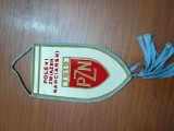FANION MATASE MIC POLONEZ