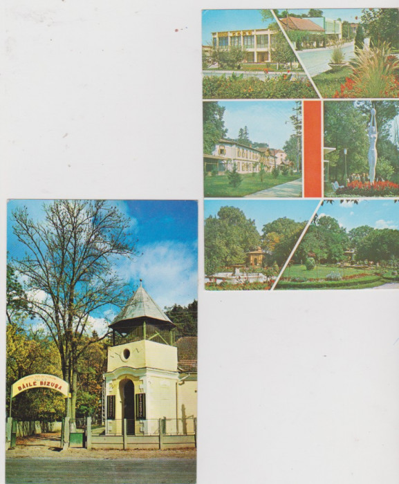 C POSTALE BUZIAS LOT 1