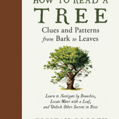 How to Read a Tree: Clues and Patterns from Bark to Leaves