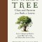 How to Read a Tree: Clues and Patterns from Bark to Leaves
