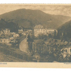 3004 - SINAIA, Prahova, Panorama, Romania - old postcard - unused