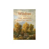 Wisdom from the Hidden Life of Trees