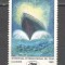 Franta.1982 Festivalul de film Cannes-Afis XF.503
