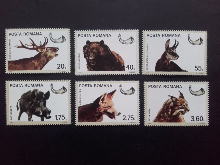 1976 - Vanatoarea - LP921