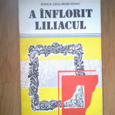 n4 A inflorit liliacul - Rodica Ojog-Brasoveanu