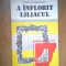 n4 A inflorit liliacul - Rodica Ojog-Brasoveanu