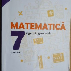 Matematica algebra geometrie clasa a 7-a Consolidare- Anton Negrila, Maria Negrila