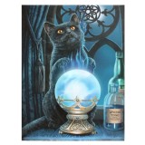 Tablou Canvas &ndash; &bdquo;The Witches Apprentice&rdquo; by Lisa Parker 19x25cm