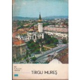 Tirgu Mures - mic indreptar turistic