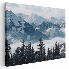 Tablou peisaj munti brazi iarna Tablou canvas pe panza CU RAMA 30x40 cm