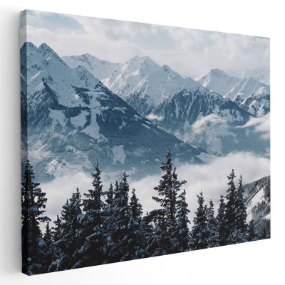 Tablou peisaj munti brazi iarna Tablou canvas pe panza CU RAMA 60x80 cm foto
