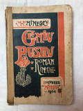GENIU PUSTIU, de M. Eminescu, roman inedit, Editura Minerva, 1904, prima editie
