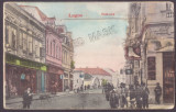 5013 - LUGOJ, Market, Leporello Synagogue, Romania - old postcard - used - 1908, Circulata, Printata