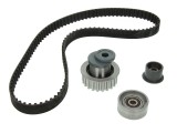 Kit distributie Ina 530000710