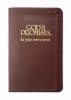 God&#039;s Promises for Your Every Need