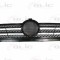 Grila radiator MERCEDES SPRINTER 4-t platou / sasiu (904) (1996 - 2006) BLIC 6502-07-3546992P