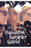 Frumusetea lucrurilor sparte - Sara Barnard - Editura Litera