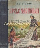 Apele Narinului - N. Biriucov