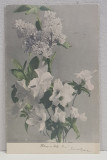 EMIL GARLEANU CATRE ELIZA XENOPOL * , CARTE POSTALA ILUSTRATA , FLORI DE PRIMAVARA , , CLASICA , CIRCULATA , 1902