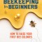 Beekeeping for Beginners: How to Raise Your First Bee Colonies