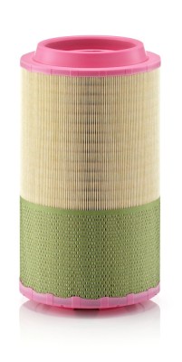 MANN-FILTER C 24 745/1 NLG Piclon Filtru aer foto