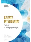 Ce este inteligenta? De la IQ la inteligente multiple/Adrian Triglia, Bertrand Regader, Jonat han Garcia-Allen