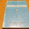 RELIGIA CULTURII - Ilarion V. Felea - Arad, 1994, 367 p.