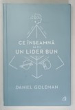 CE INSEAMNA SA FII UN LIDER BUN - DE CE ESTE IMPORTANTA INTELIGENTA EMOTIONALA de DANIEL GOLEMAN , 2017