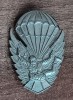QW9 N3 10 - insigna - militar - parasutism - parasutist in zbor, Romania de la 1950