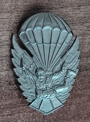 QW9 N3 10 - insigna - militar - parasutism - parasutist in zbor foto